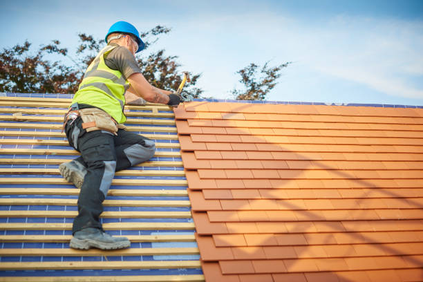 Best Roof Maintenance and Cleaning  in Sandy Springs, SC